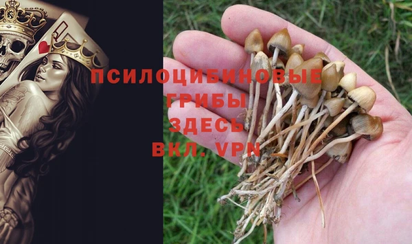 альфа пвп VHQ Карпинск