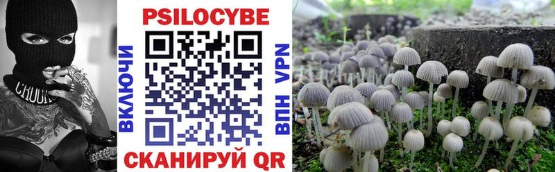 Псилоцибиновые грибы Cubensis  Купить где  Мариинский Посад 